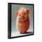 Stupell Industries Smiling Fluffy Piglet Framed Floater Canvas Wall Art Design by RB